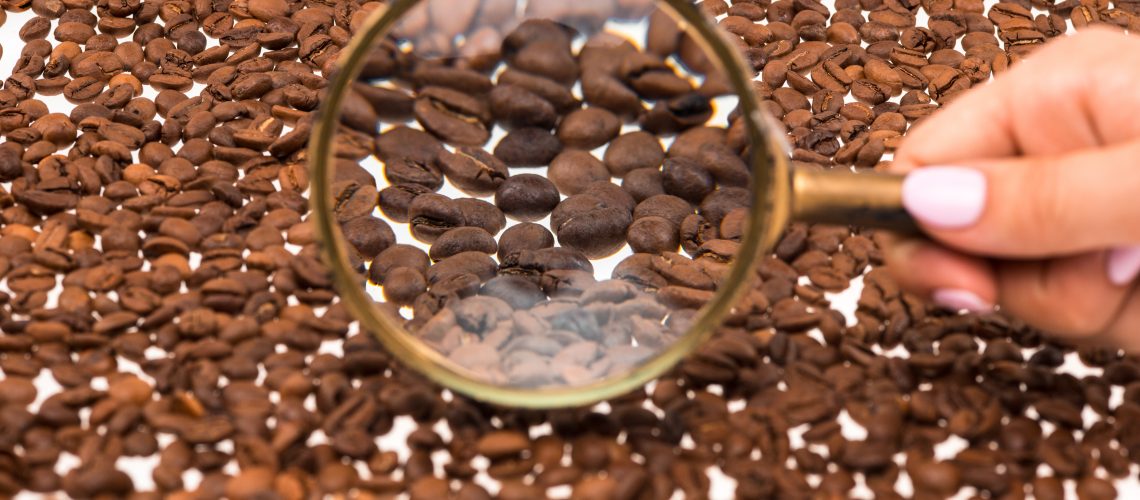 The female hand keepig magnifying glass over the coffee beans